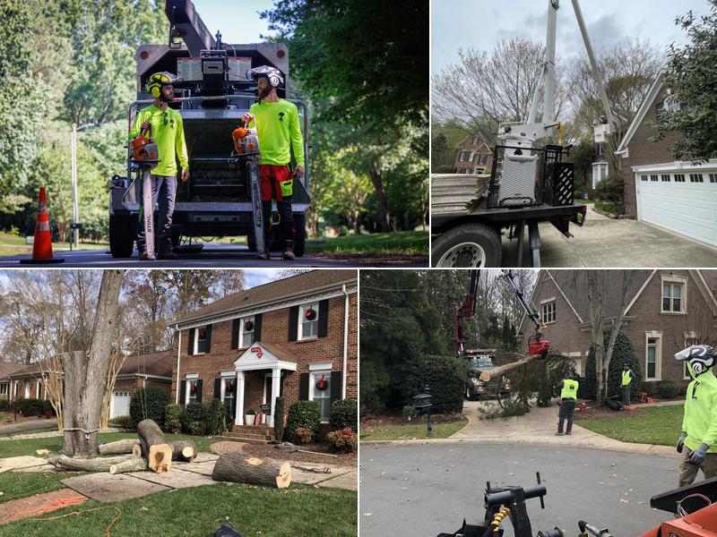 Justin’s Tree Service