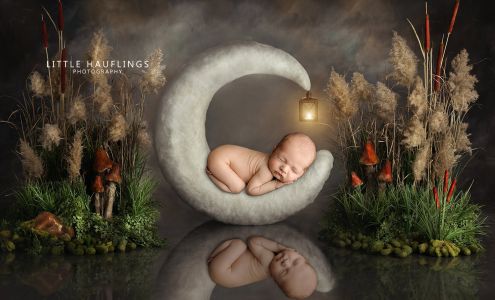 Little Hauflings Photography, LLC