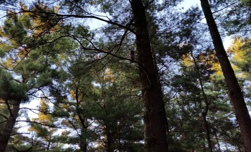 First Choice Foundations LLC