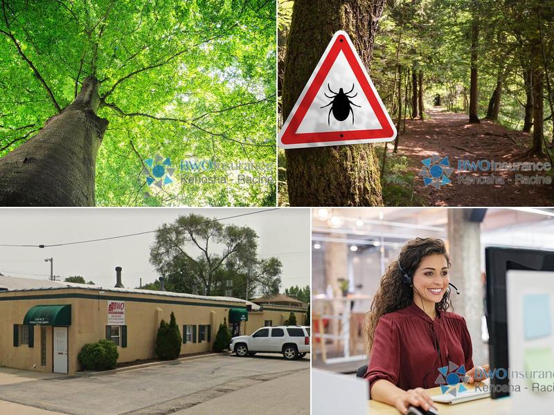 BWO Insurance of Kenosha/Racine