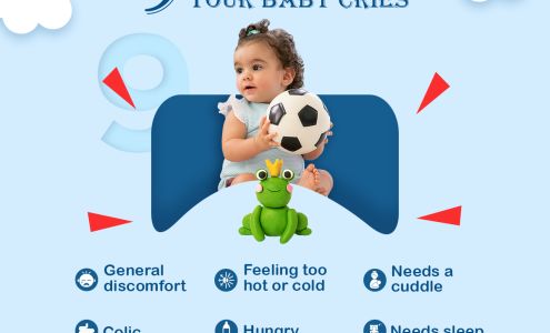 Alnicor Consulting Howard Beach