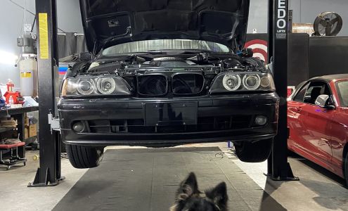 Boosted Bimmers