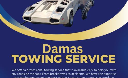 Damas Towing Service