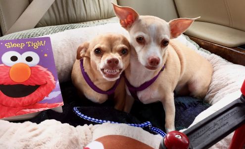 Southern Recovery and Towing