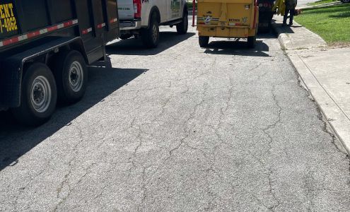 All Arbor Tree Trimming San Antonio