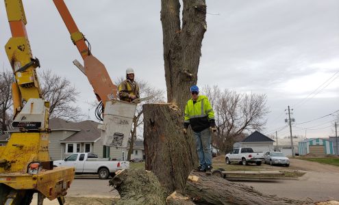Prairie Land Trees Inc 35509 280th St, Worthington Minnesota 56187