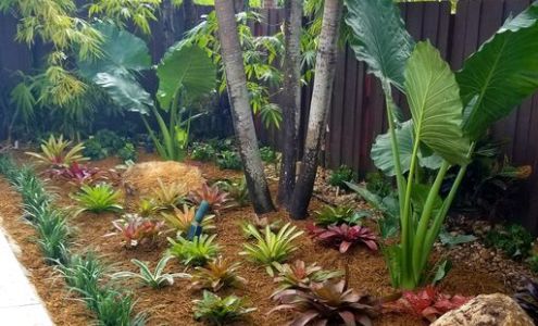 Nerak Co. Landscaping