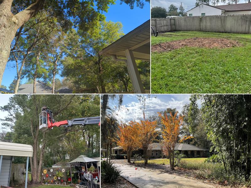 The Branch Manager Tree Service