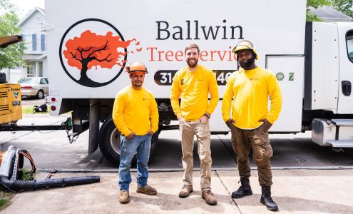 Ballwin Tree Service