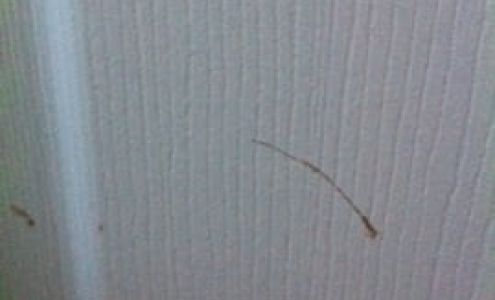 First Choice Moving North Bay