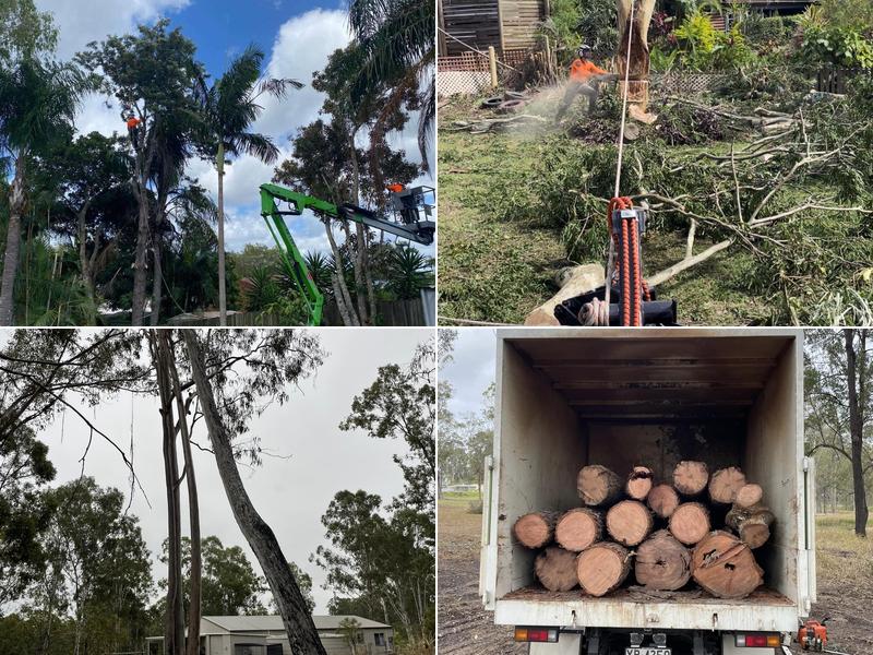 Tip Top Tree Service