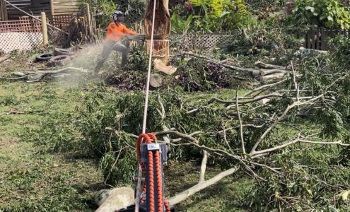 Tip Top Tree Service 101 Iowa St, Centerville South Dakota 57014