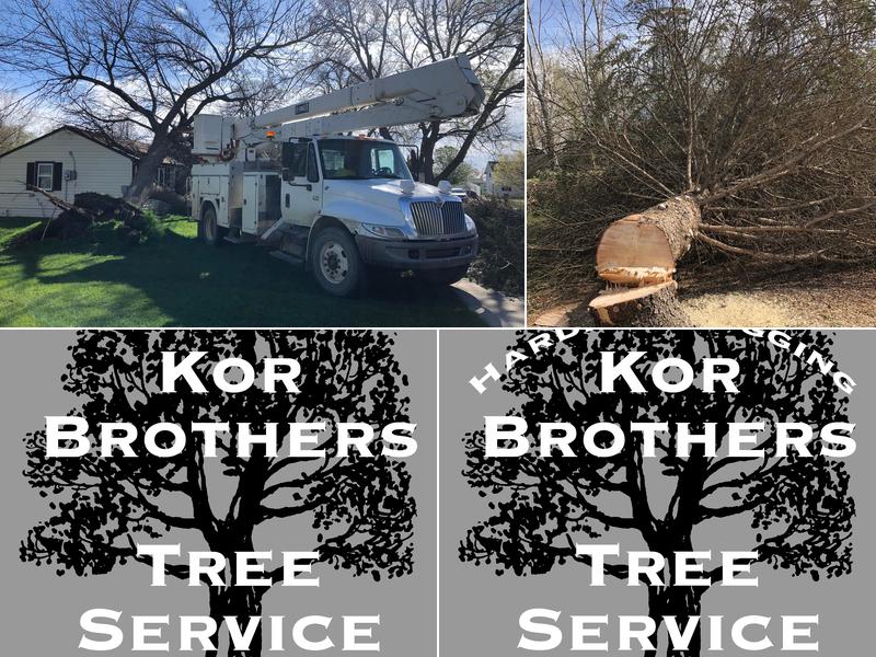 Kor Brothers Tree Service