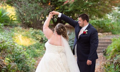 Aurora Photography and Design