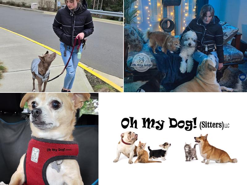 Oh My Dog! (Sitters) LLC