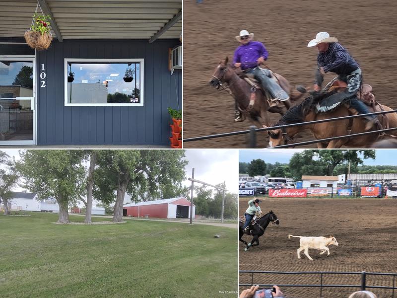 Charlotte Andres Real Estate