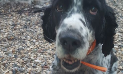 Rogers Plumbing & Heating