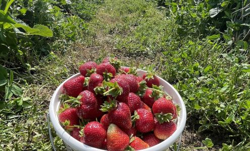 Hallsberry Farms Buncombe