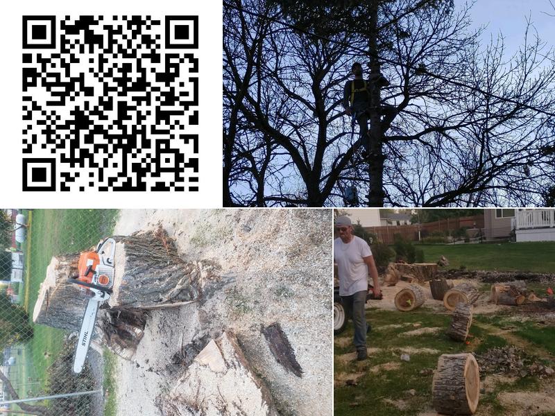 Timberman Tree Service LLC