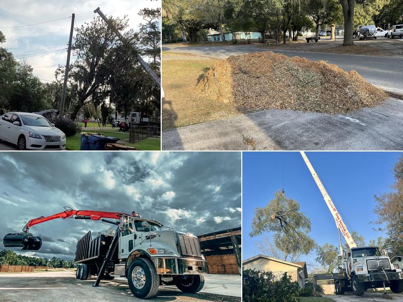 Eagerton Tree Service, LLC