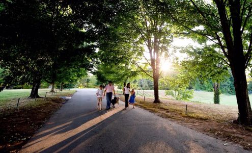 Wilson Insurance Services, Inc.