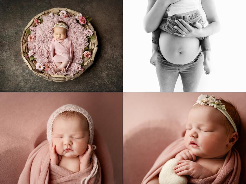 Willow and Mohr Photography