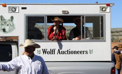 Wolff Auctioneers LLC Golden Valley