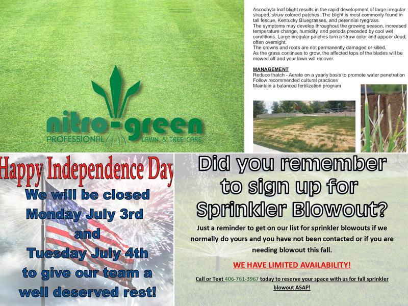 Nitro Green Professional Lawn & Tree Care