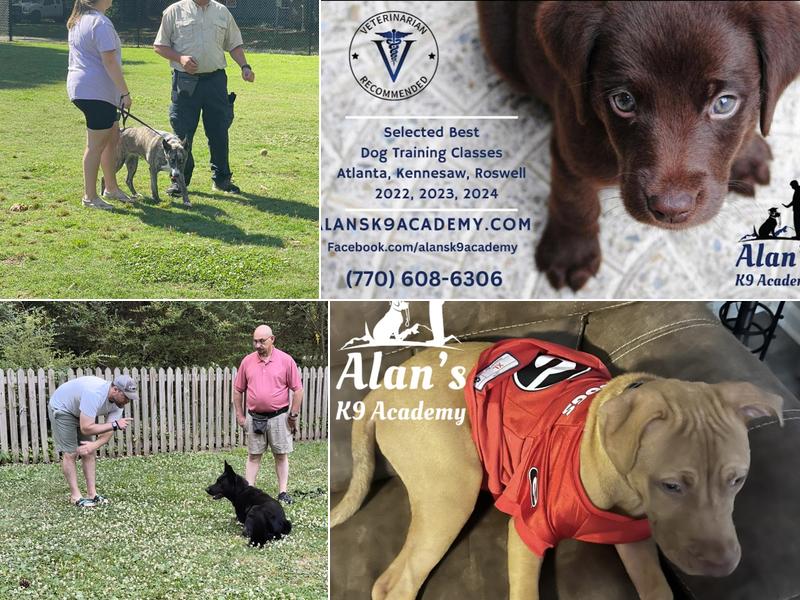 Alans K9 Academy