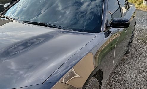 Tinted