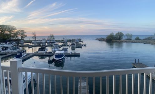 Bald Eagle Marina Kendall