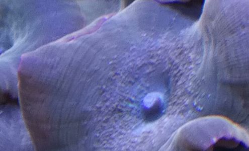 County Auto Wreckers, LLC.