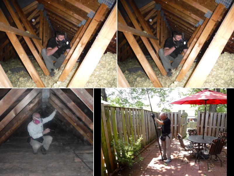 Beltway Home Inspections