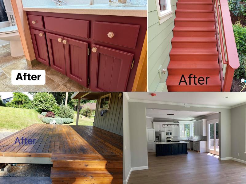 CBS PROFESSIONAL PAINTERS Inc