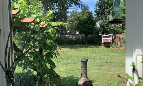 Insight Window Washing