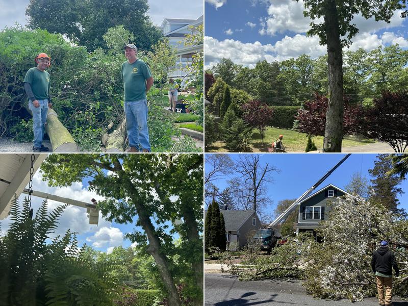 Armstrong Tree Services