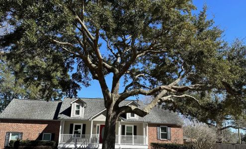 Carolina Pines Tree Company, Llc 645 White Chapel Cir, Charleston South Carolina 29412