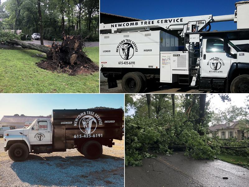 Newcomb Tree Service LLC