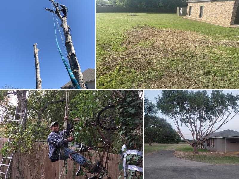 Carbajal Tree Service