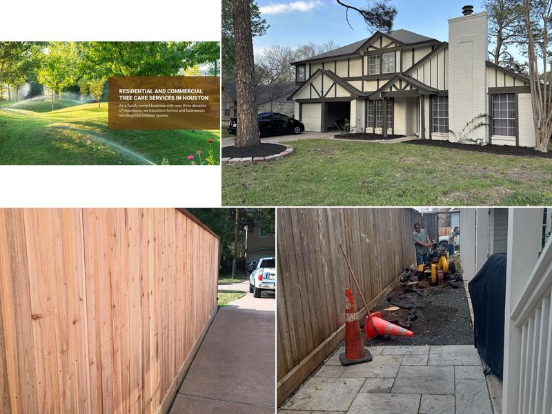 William Tree Services