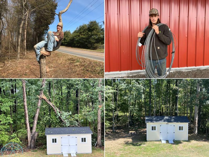 Clean Cut Tree Services