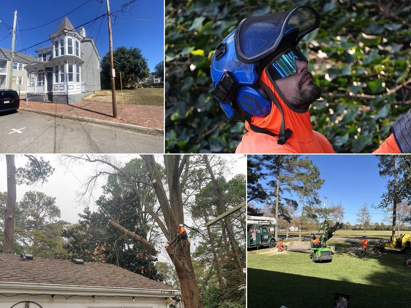 Grateful Tree Service