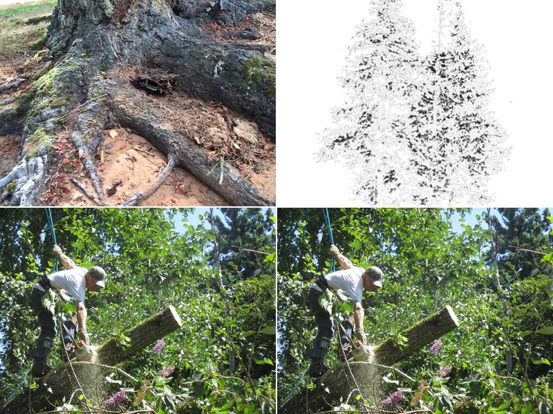 Bellweather Tree Service