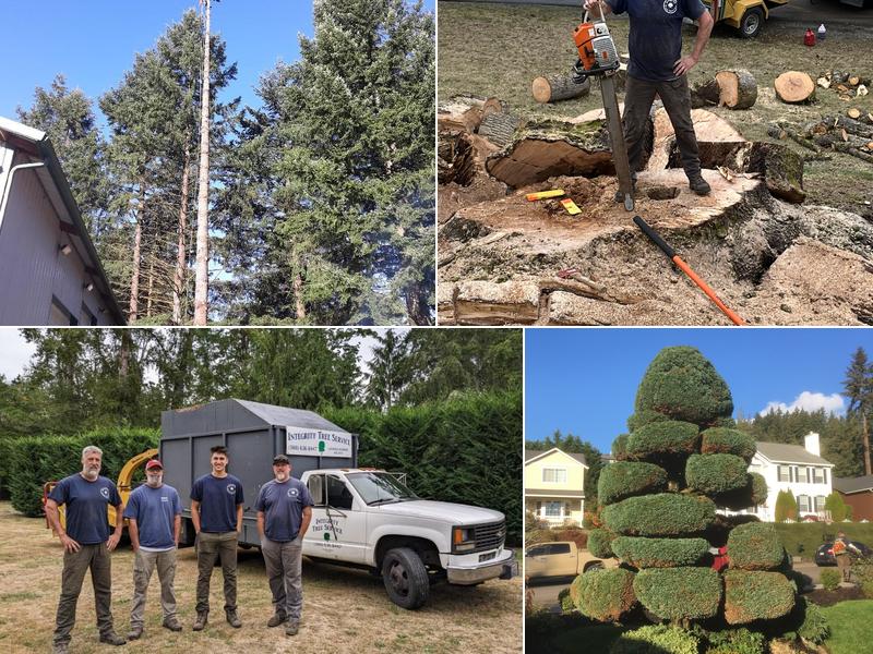 Integrity Tree Service