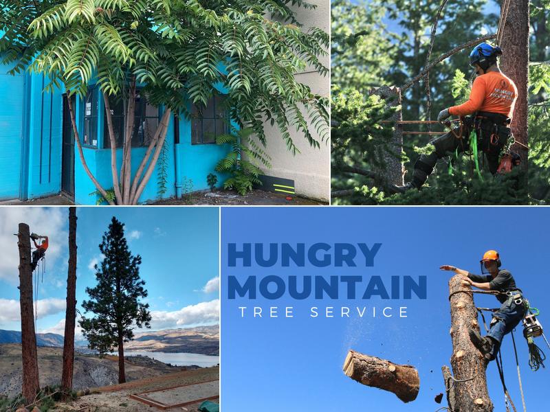 hungry mountain tree service