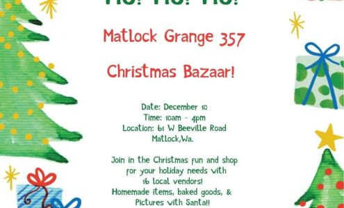 Boho Beauty and Spa LLC 1227 State Ave, Marysville Washington 98270