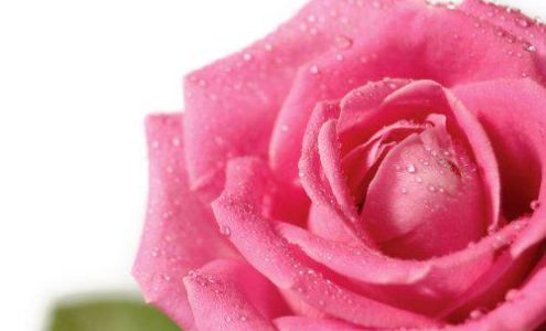 Larosa Salon 2769 Staunton Rd, Benld Illinois 62009