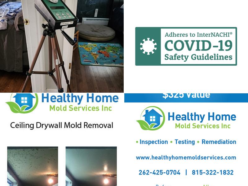 Healthy Home Mold Services Inc.