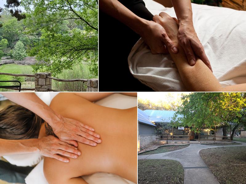 Body Insight Wellbeing Catalyst