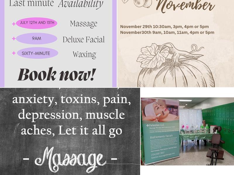 Feleelee LLC Massage and Esthetician Studio